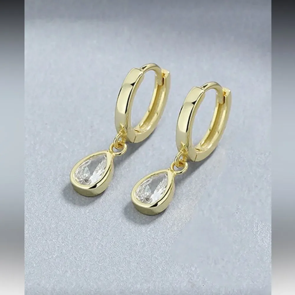 Diamond hoop earrings #2120